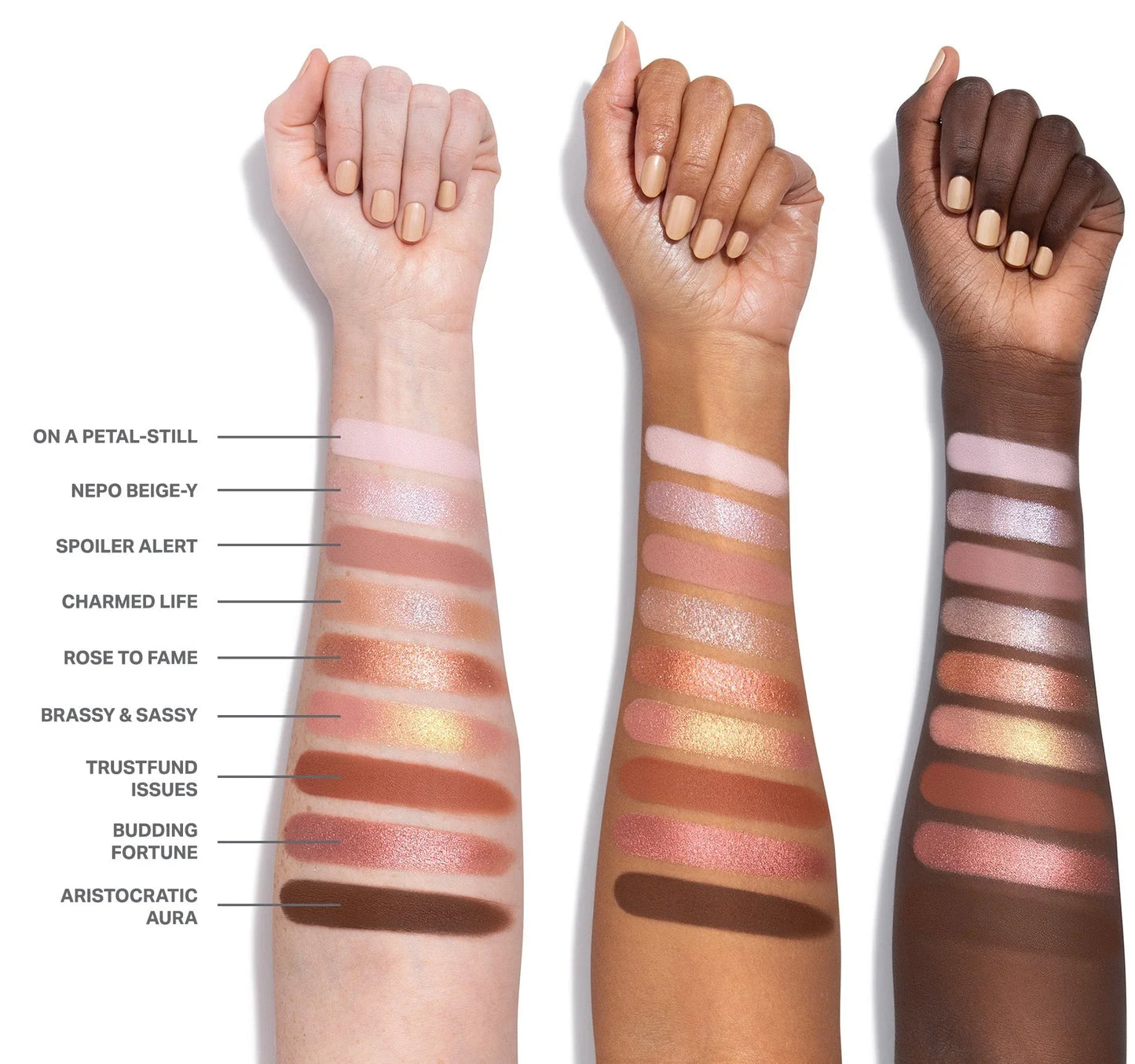 Morphy Palette Rose To Fame